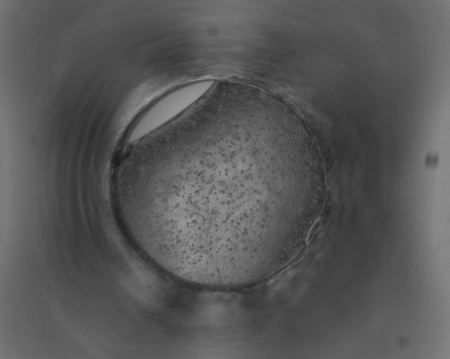 X0000094460242200711211547