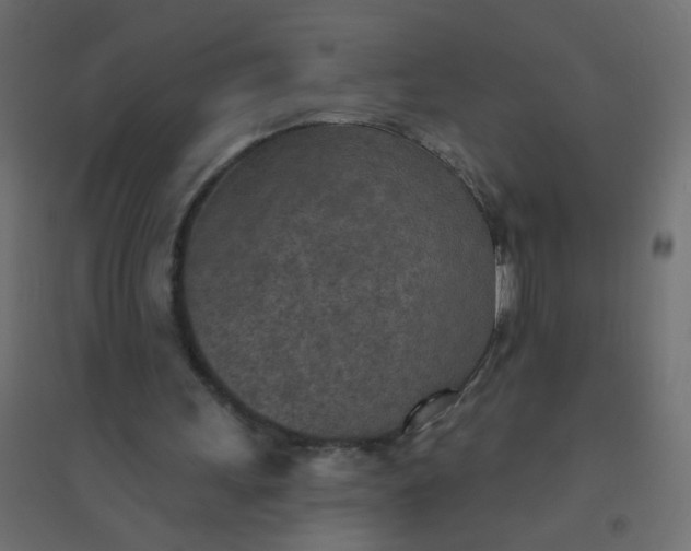 X0000094460243200711211547