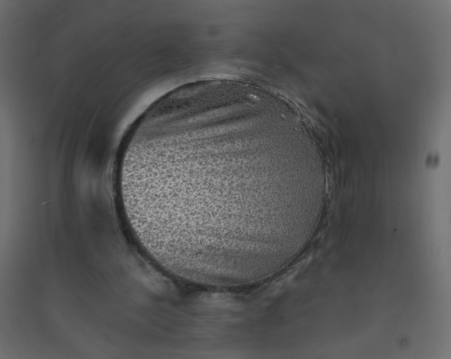 X0000094460244200711211547