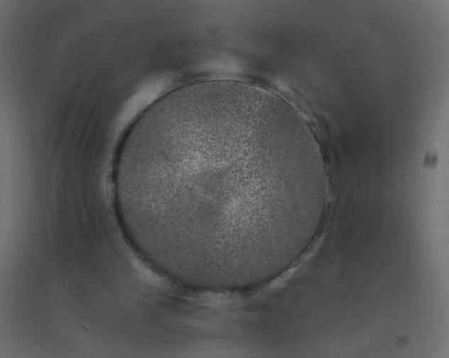 X0000094460245200711211547