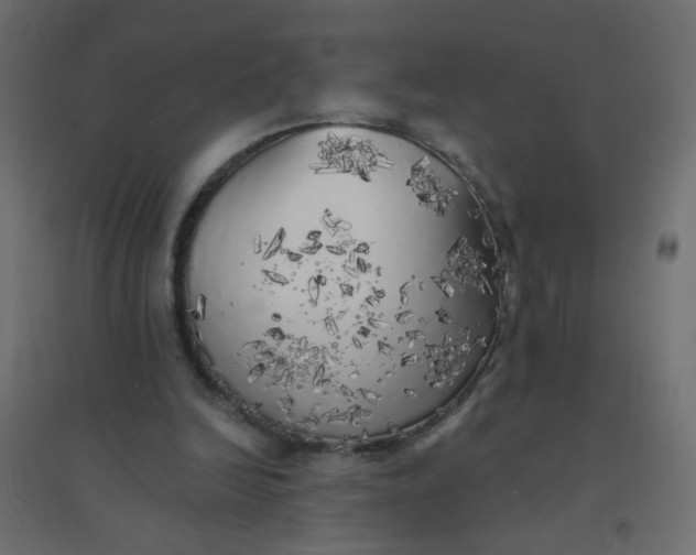 X0000094460246200711211547