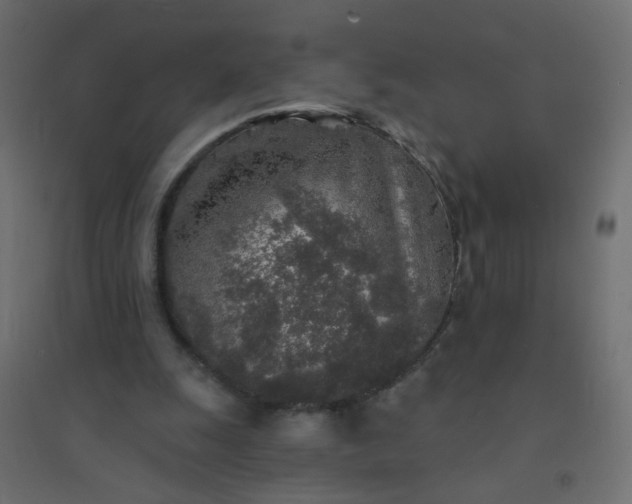 X0000094460247200711211547