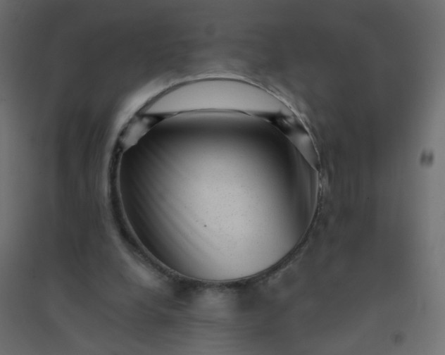 X0000094460248200711211547