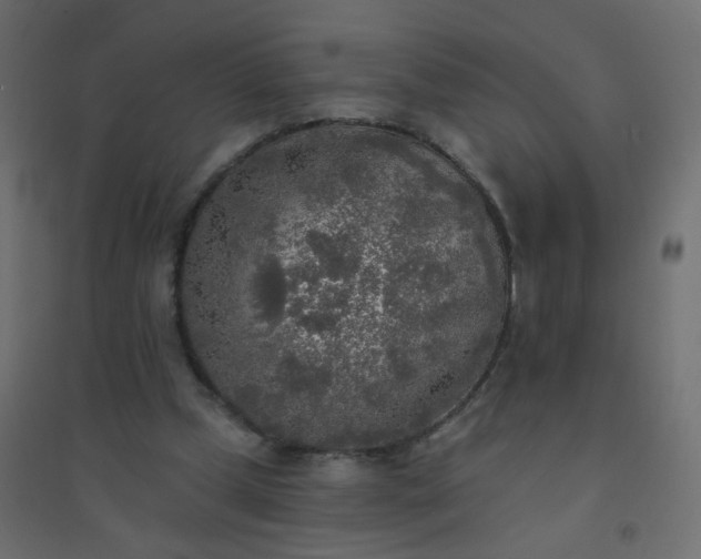 X0000094460249200711211547