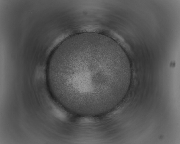 X0000094460250200711211547