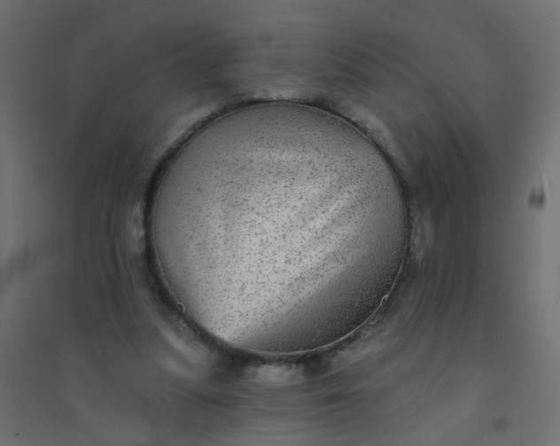 X0000094460251200711211547