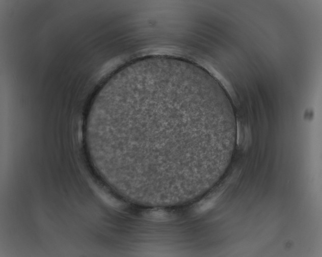 X0000094460253200711211547