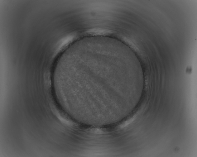 X0000094460254200711211547