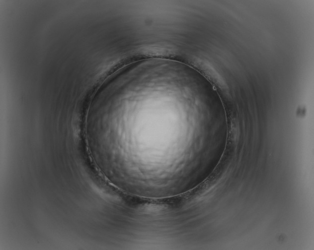 X0000094460255200711211547