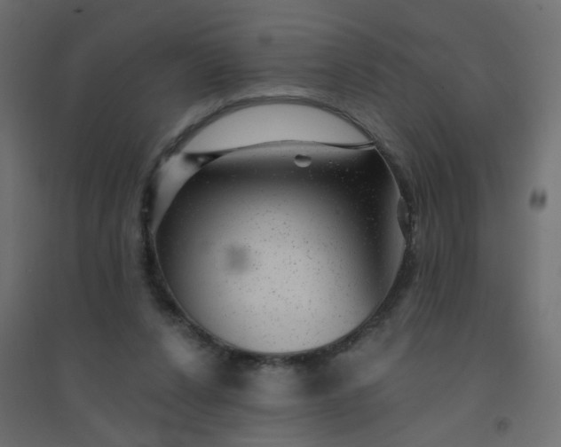 X0000094460256200711211547