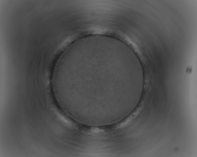 X0000094460257200711211547