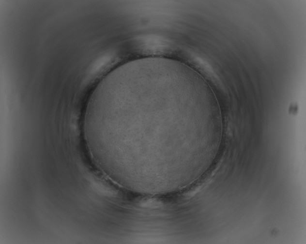 X0000094460258200711211547