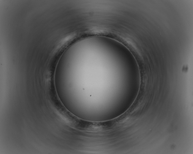 X0000094460260200711211547