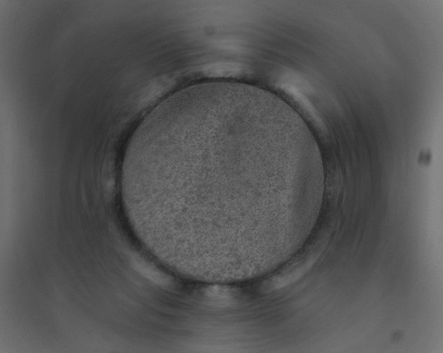 X0000094460261200711211547