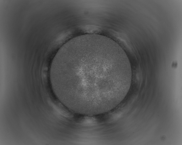 X0000094460263200711211547