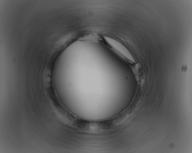 X0000094460264200711211547