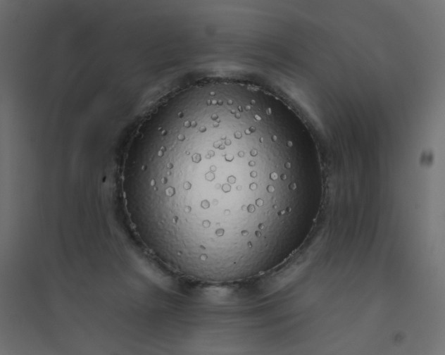 X0000094460265200711211547