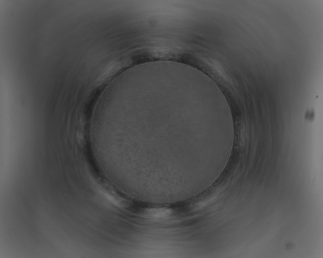 X0000094460266200711211547