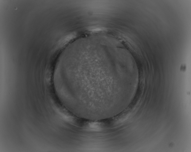 X0000094460268200711211547