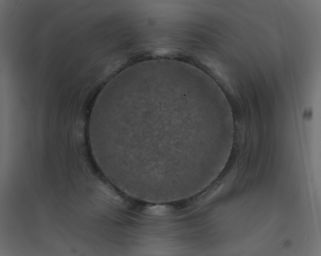 X0000094460269200711211547