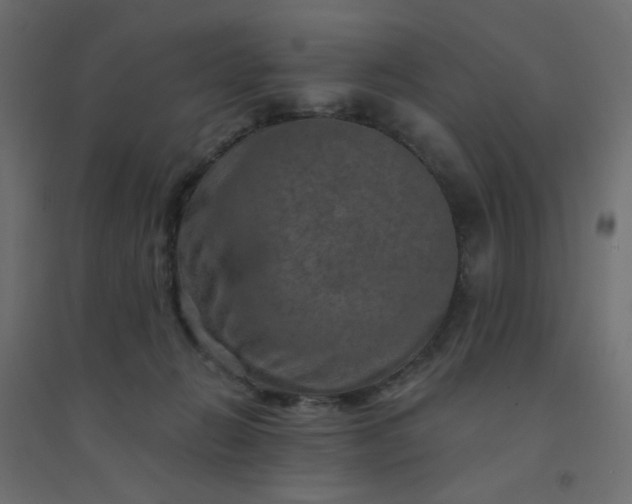 X0000094460270200711211547