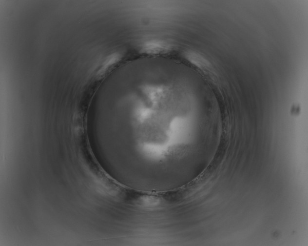 X0000094460272200711211547