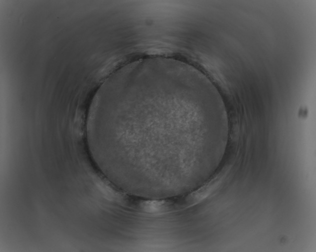 X0000094460273200711211547