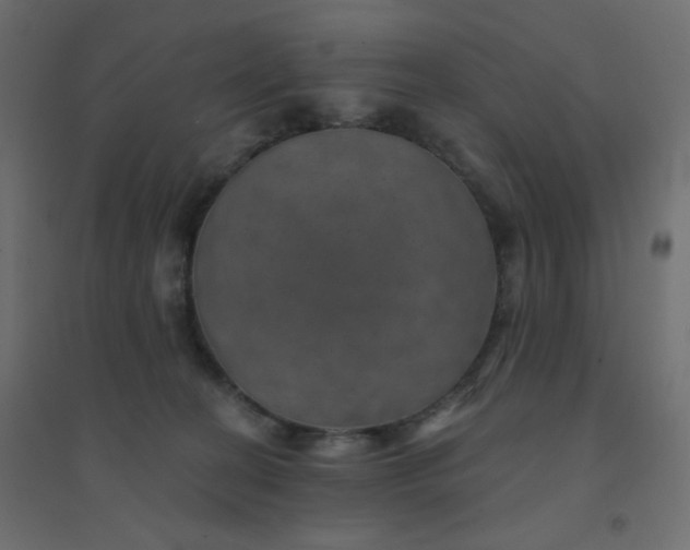 X0000094460274200711211547