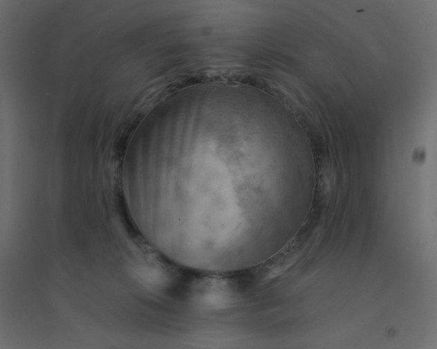 X0000094460276200711211547