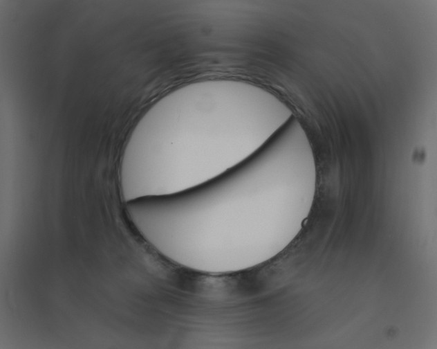 X0000094460277200711211547