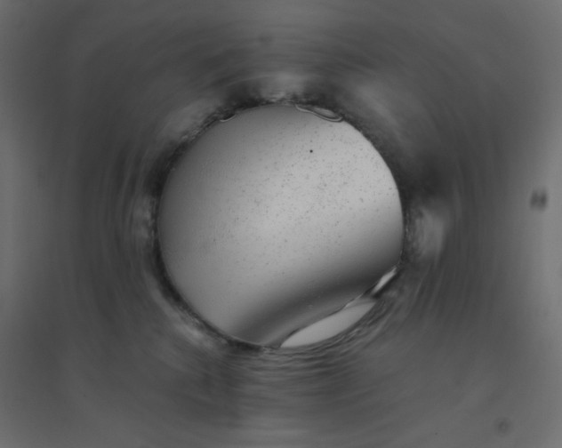 X0000094460280200711211547