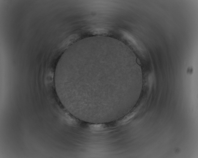 X0000094460281200711211547