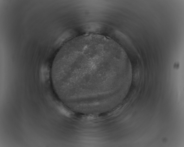 X0000094460282200711211547