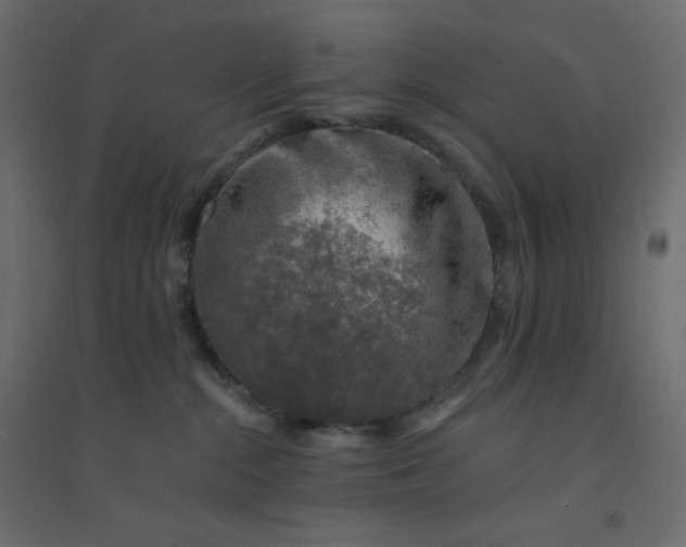 X0000094460284200711211547