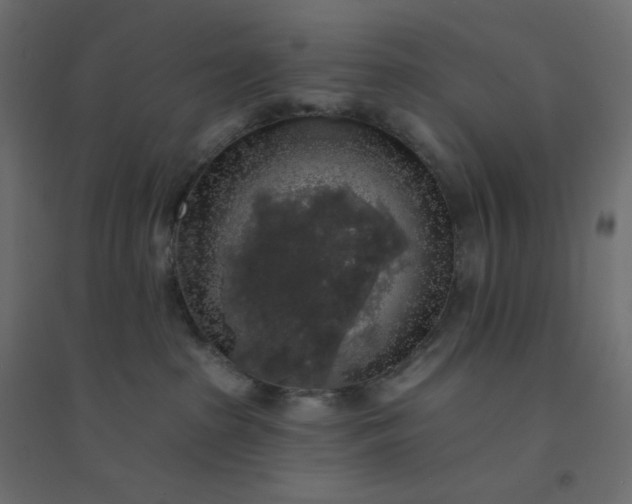 X0000094460285200711211547