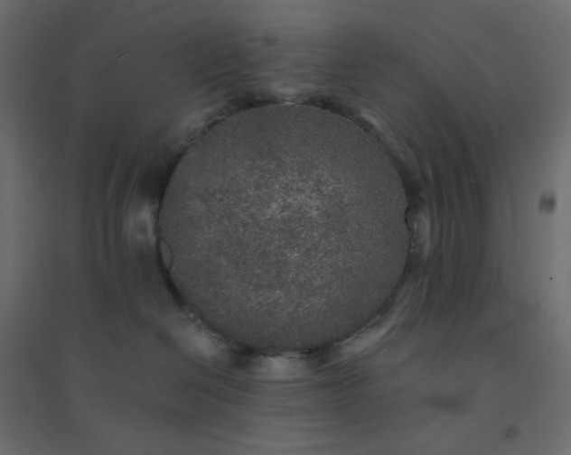 X0000094460286200711211547