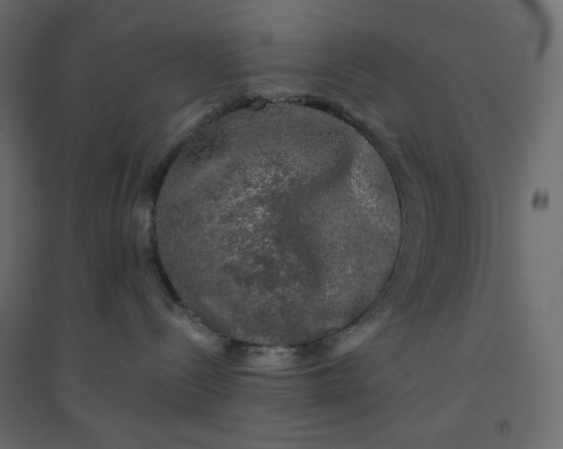 X0000094460288200711211547