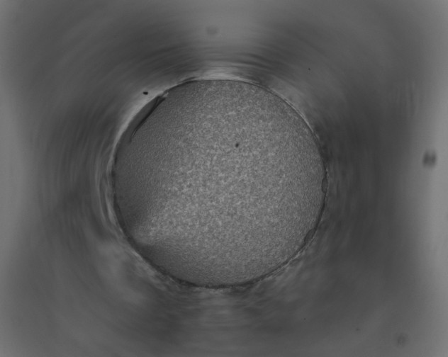 X0000094460289200711211547