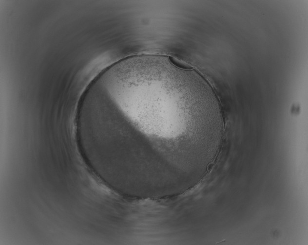 X0000094460290200711211547