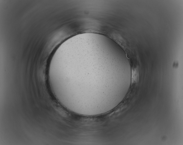 X0000094460291200711211547