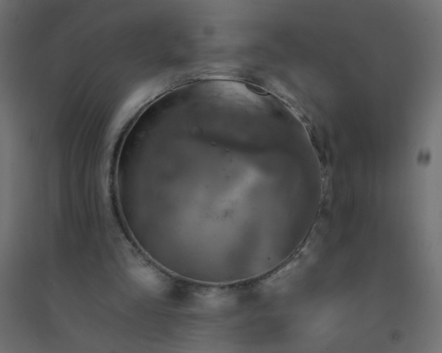 X0000094460293200711211546