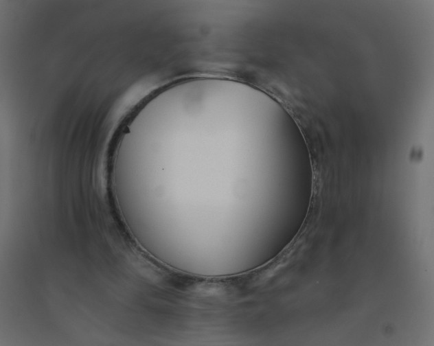 X0000094460294200711211546