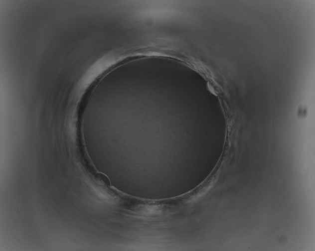 X0000094460295200711211546