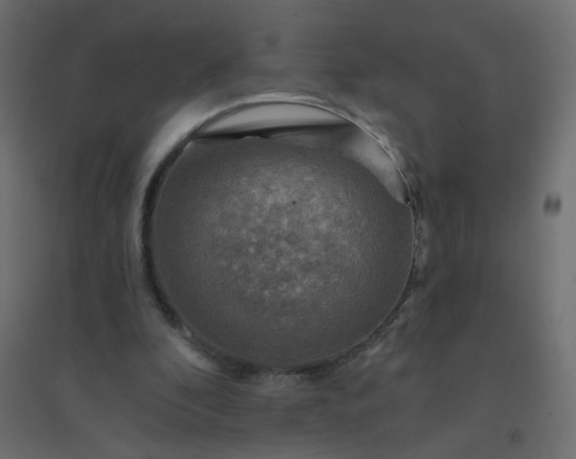 X0000094460296200711211546