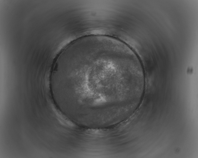 X0000094460297200711211546