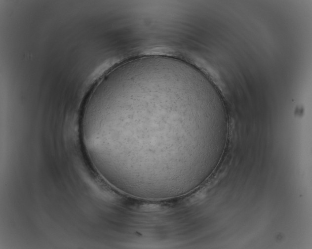 X0000094460298200711211546