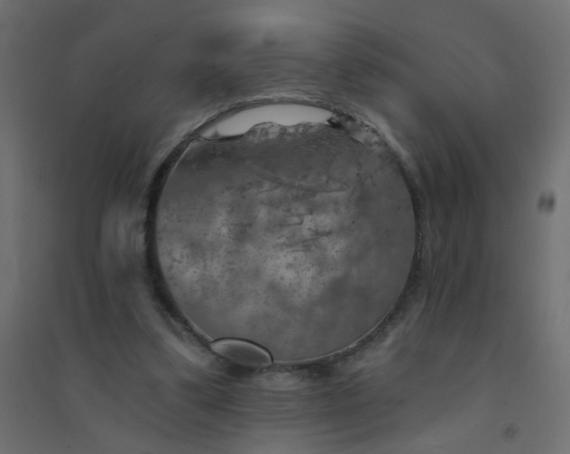 X0000094460299200711211546