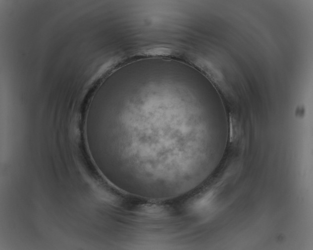 X0000094460300200711211546