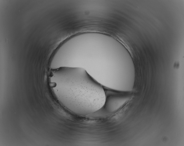 X0000094460301200711211546