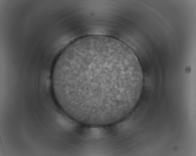 X0000094460302200711211546